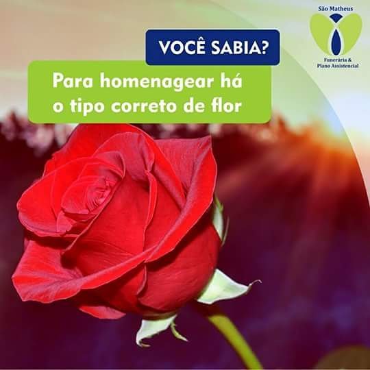 Lorem ipsum dolor sit amet, consectetur adipiscing elit. Phasellus quis elementum odio. Curabitur pellentesque, dolor vel pharetra mollis.